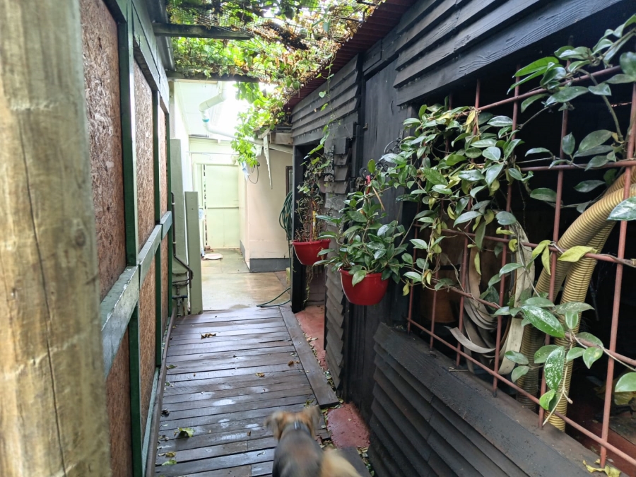 3 Bedroom Property for Sale in Scheepershoogte Eastern Cape